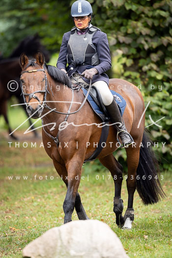 09 - Zwei-Meute-Jagd Rehrhof