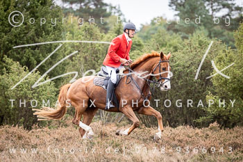 09 - Zwei-Meute-Jagd Rehrhof