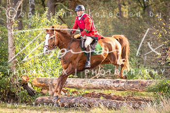 10 - Jagd Meitze