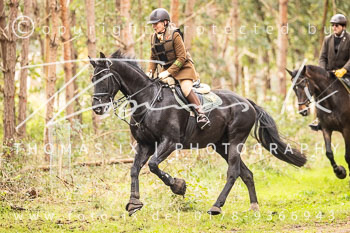 10 - Jagd Meitze