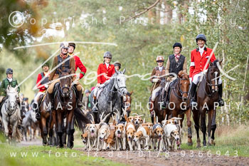 10 - Jagd Meitze 10 - Jagd Meitze