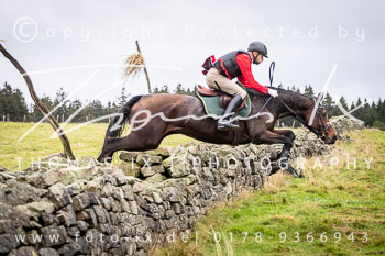 12 - Jagd Neuhaus im Solling