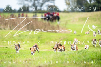 13 - Jagd Verden 13 - Jagd Verden