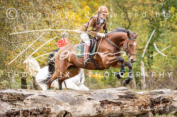 15 - Jagd Isernhagen 15 - Jagd Isernhagen