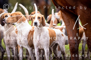 16 - Jagd Thedinghausen 16 - Jagd Thedinghausen