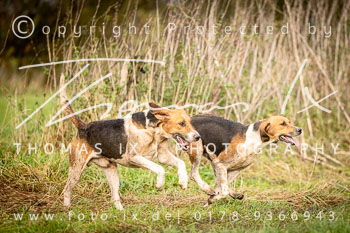 16 - Jagd Thedinghausen