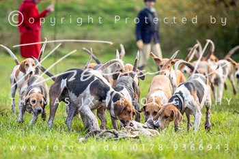 16 - Jagd Thedinghausen