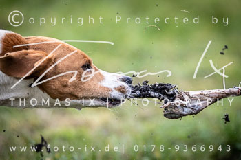 18 - Jagd Kremmen 18 - Jagd Kremmen