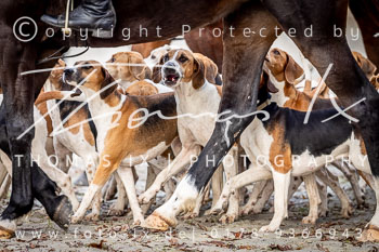 19 - Jagd Hermannsburg 19 - Jagd Hermannsburg