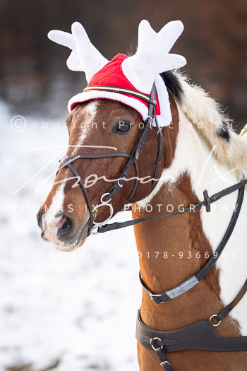 20 - Jagd Wense 20 - Jagd Wense