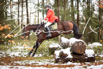 20 - Jagd Wense