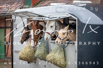 22 - Jagd Sudermühlen