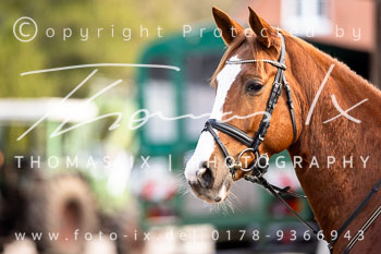 02 - Jagd Hermannsburg