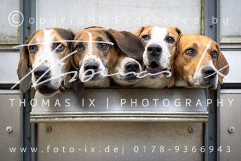 02 - Jagd Hermannsburg