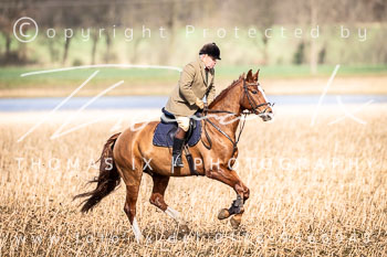 04 - Meutearbeit Hanstedt