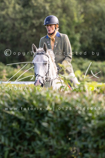 06 - Meutearbeit Horner Rennbahn