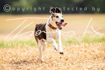 07 - Schleppjagd Rohlfshagen