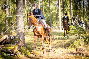 09 - Jagd Dreilingen