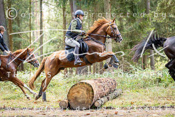11 - Jugendjagd Marienau