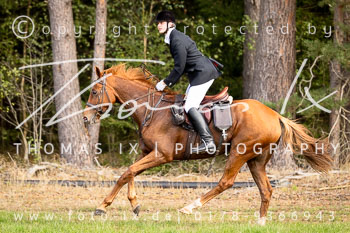 11 - Jugendjagd Marienau