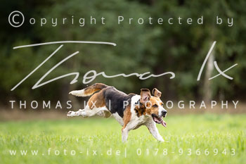 11 - Jugendjagd Marienau