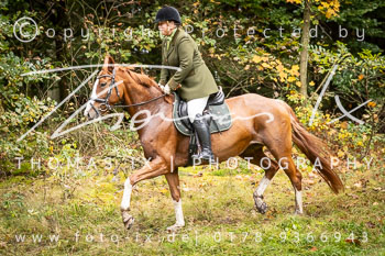 14 - Zwei-Meute-Jagd Rehrhof