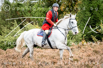 14 - Zwei-Meute-Jagd Rehrhof