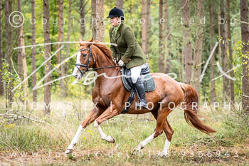 14 - Zwei-Meute-Jagd Rehrhof 14 - Zwei-Meute-Jagd Rehrhof