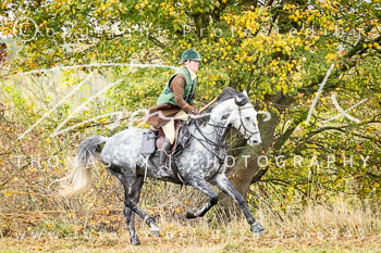 17 - Jagd Warmeloh