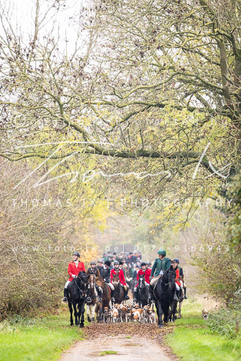 21 - Jagd Thedinghausen