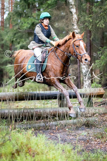 24 - Jagd Wense