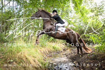 08 - Jagd Steinhorst