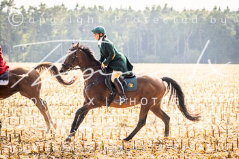 10 - Jagd Völkersen