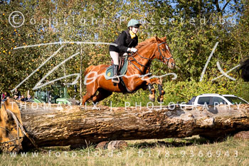 14 - Jagd Thönse
