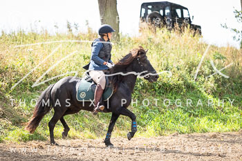 07 - Jagd Rohlfshagen