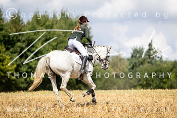 07 - Jagd Rohlfshagen