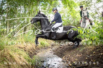 08 - Jagd Steinhorst