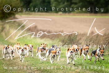 11 - Jagd Gut Horndorf