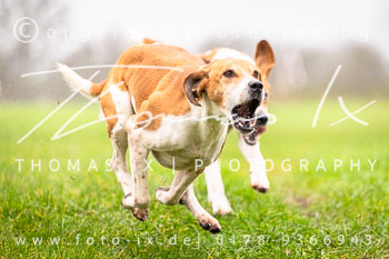 20 - Jagd Thedinghausen