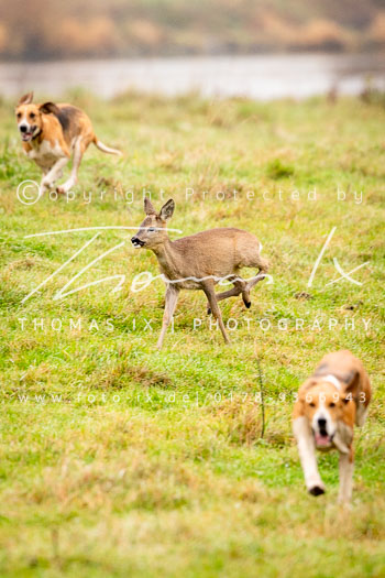 20 - Jagd Thedinghausen