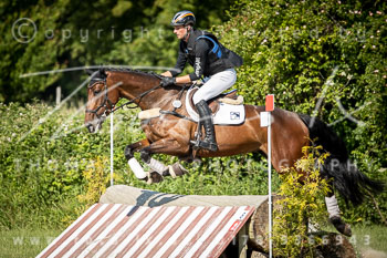 11 - Elmenhorst Geländepferdeprüfung A