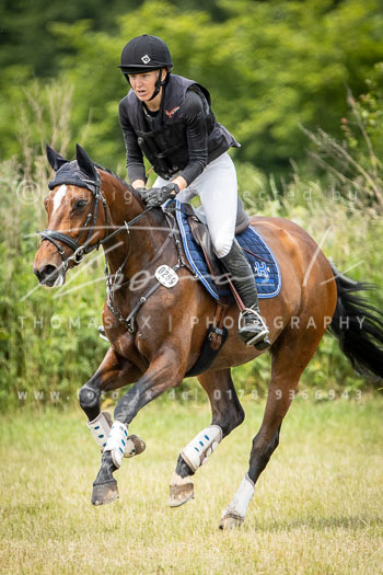 11 - Elmenhorst Geländepferdeprüfung A