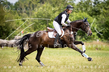 12 - Elmenhorst Geländepferdeprüfung L