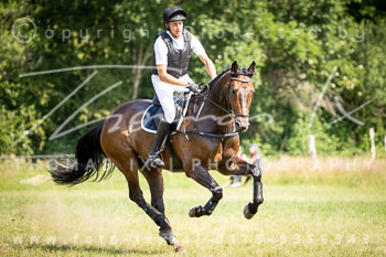 12 - Elmenhorst Geländepferdeprüfung L