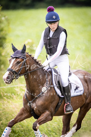 14 - Elmenhorst Stilgeländeritt A, 2. Abteilung