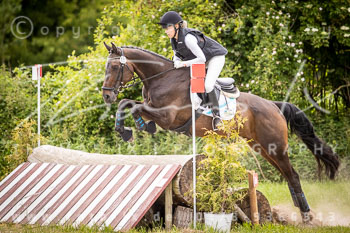 14 - Elmenhorst Stilgeländeritt A, 2. Abteilung