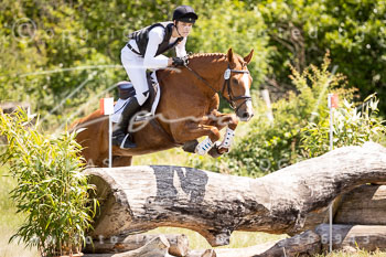 15 - Elmenhorst Stilgerländeritt L