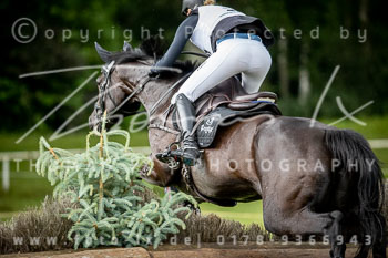 16 - Luhmühlen CCI3