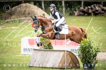 17 - Luhmühlen Stilgeländeritt E