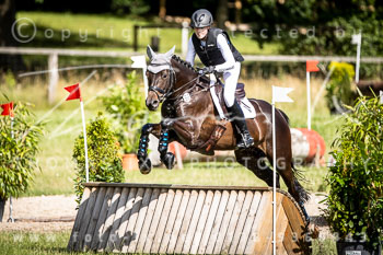 17 - Luhmühlen Stilgeländeritt E